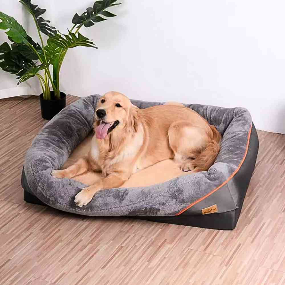 Un chien dans le Panier pour Grand Chien XXL