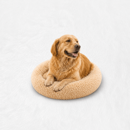 Un chien assis sur le Coussin Anti-stress pour Chien Beige