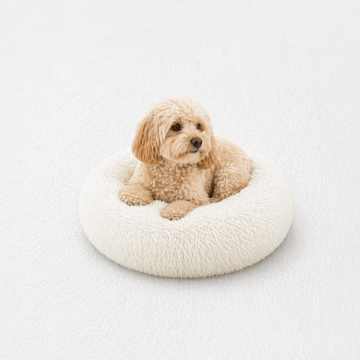 Un chien assis sur le Coussin Anti-stress pour Chien Blanc