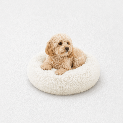 Un chien assis sur le Coussin Anti-stress pour Chien Blanc