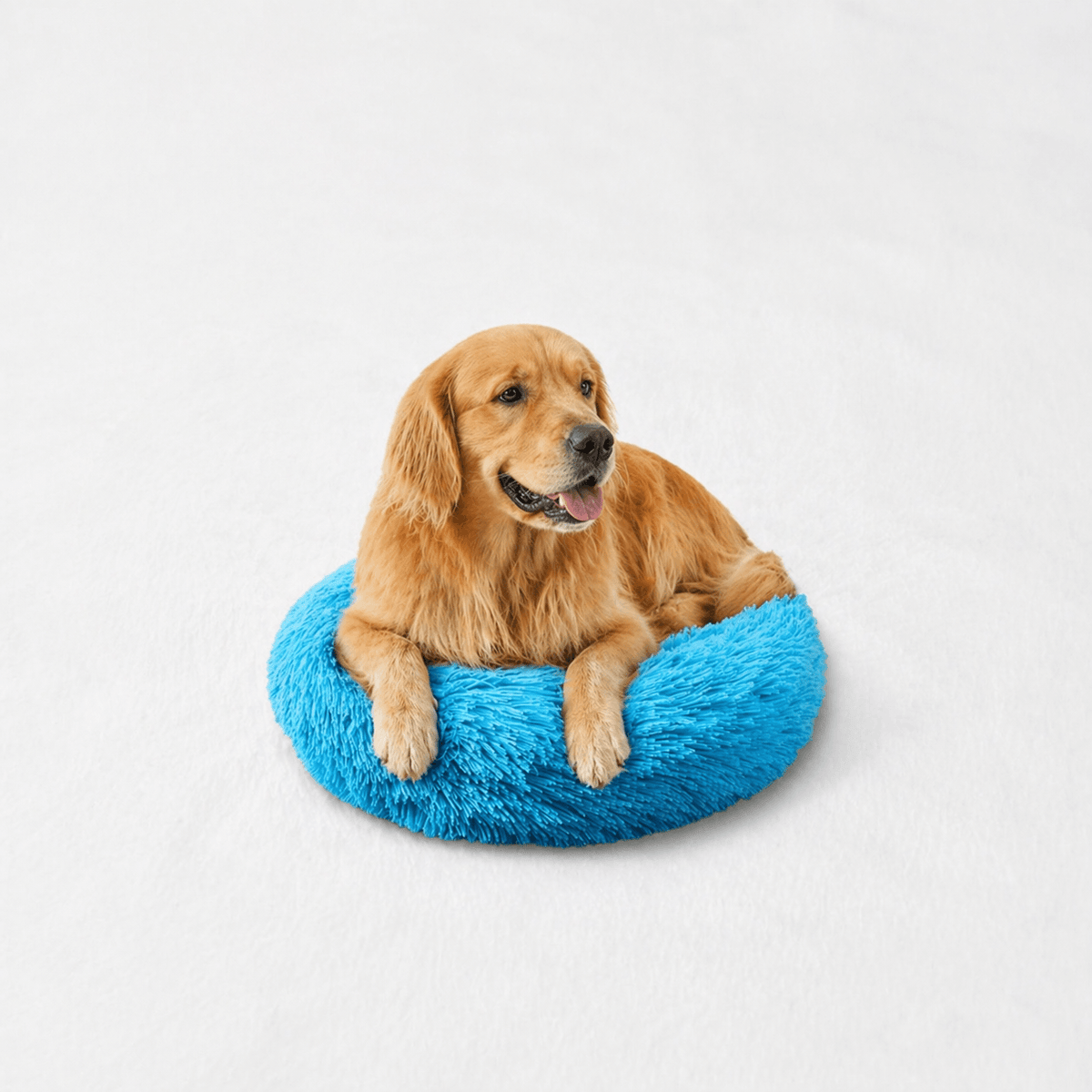 Un chien assis sur le Coussin Anti-stress pour Chien Bleu