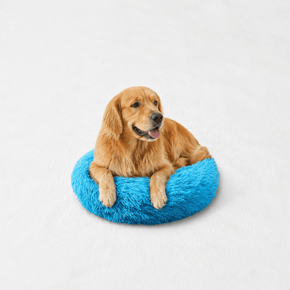 Un chien assis sur le Coussin Anti-stress pour Chien Bleu