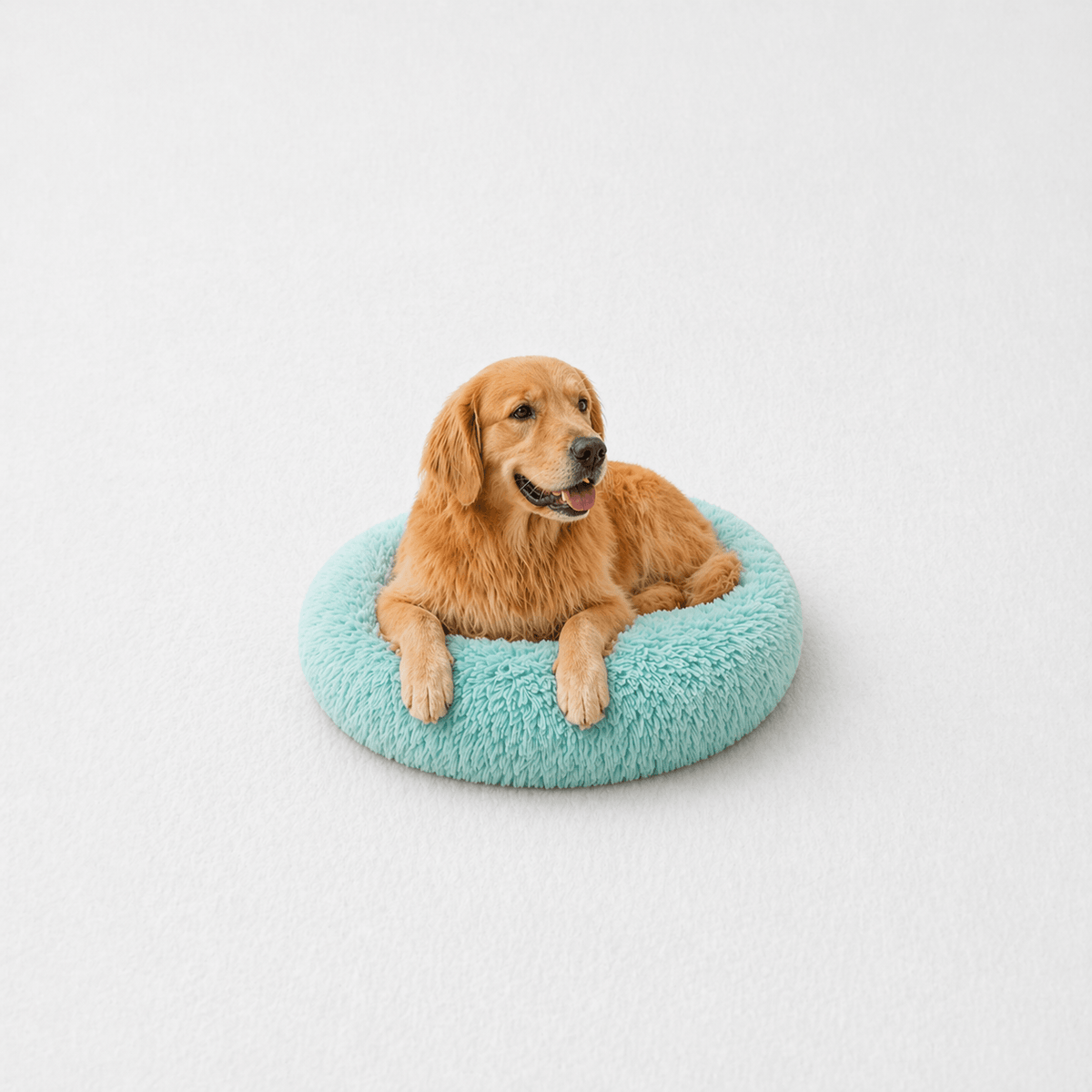 Un chien assis sur le Coussin Anti-stress pour Chien Bleu Pastel 