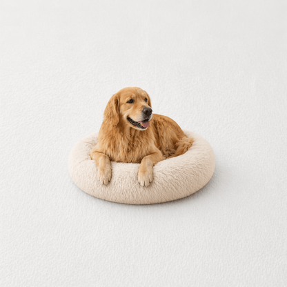 Un chien assis sur le Coussin Anti-stress pour Chien Crème 