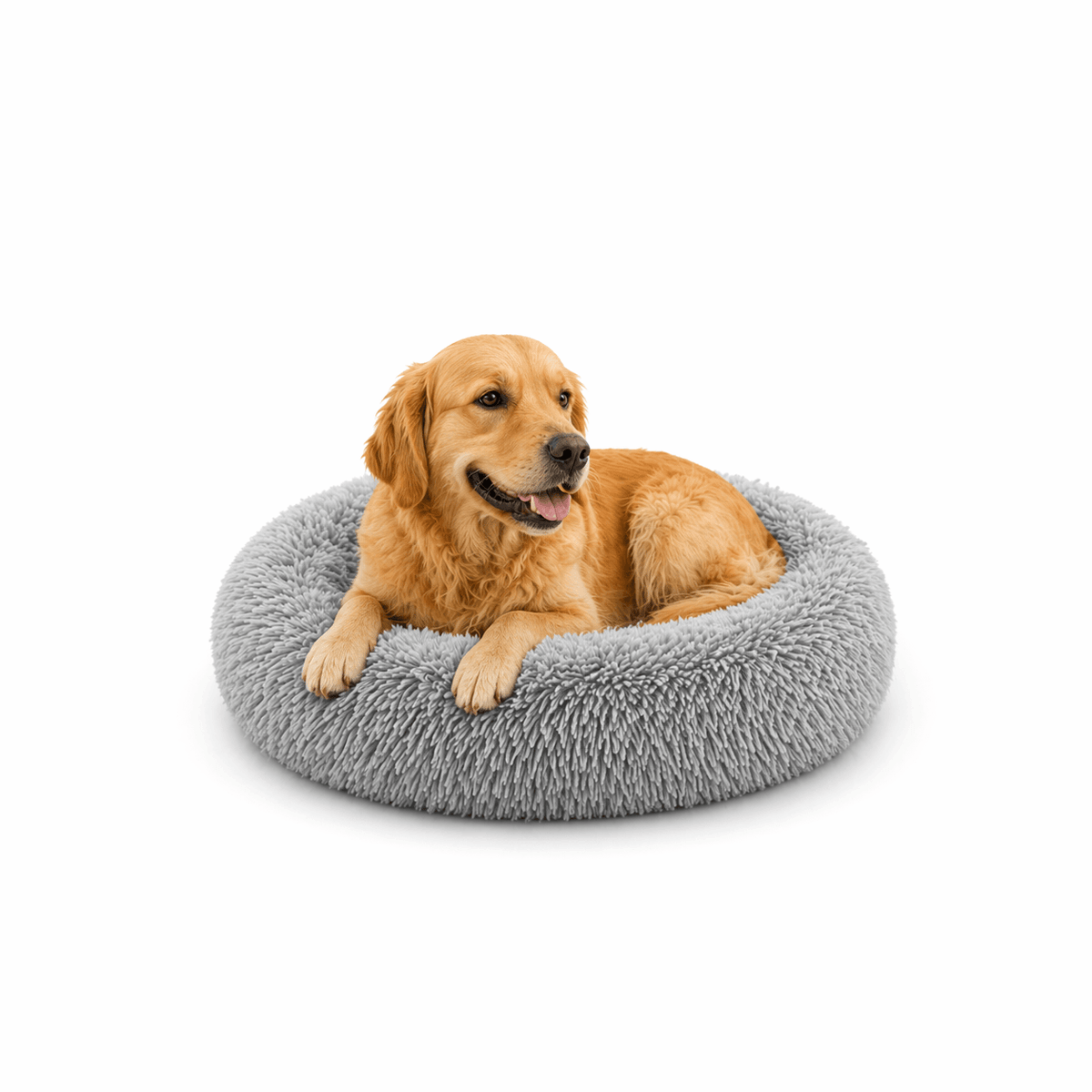 Un chien assis sur le Coussin Anti-stress pour Chien Gris