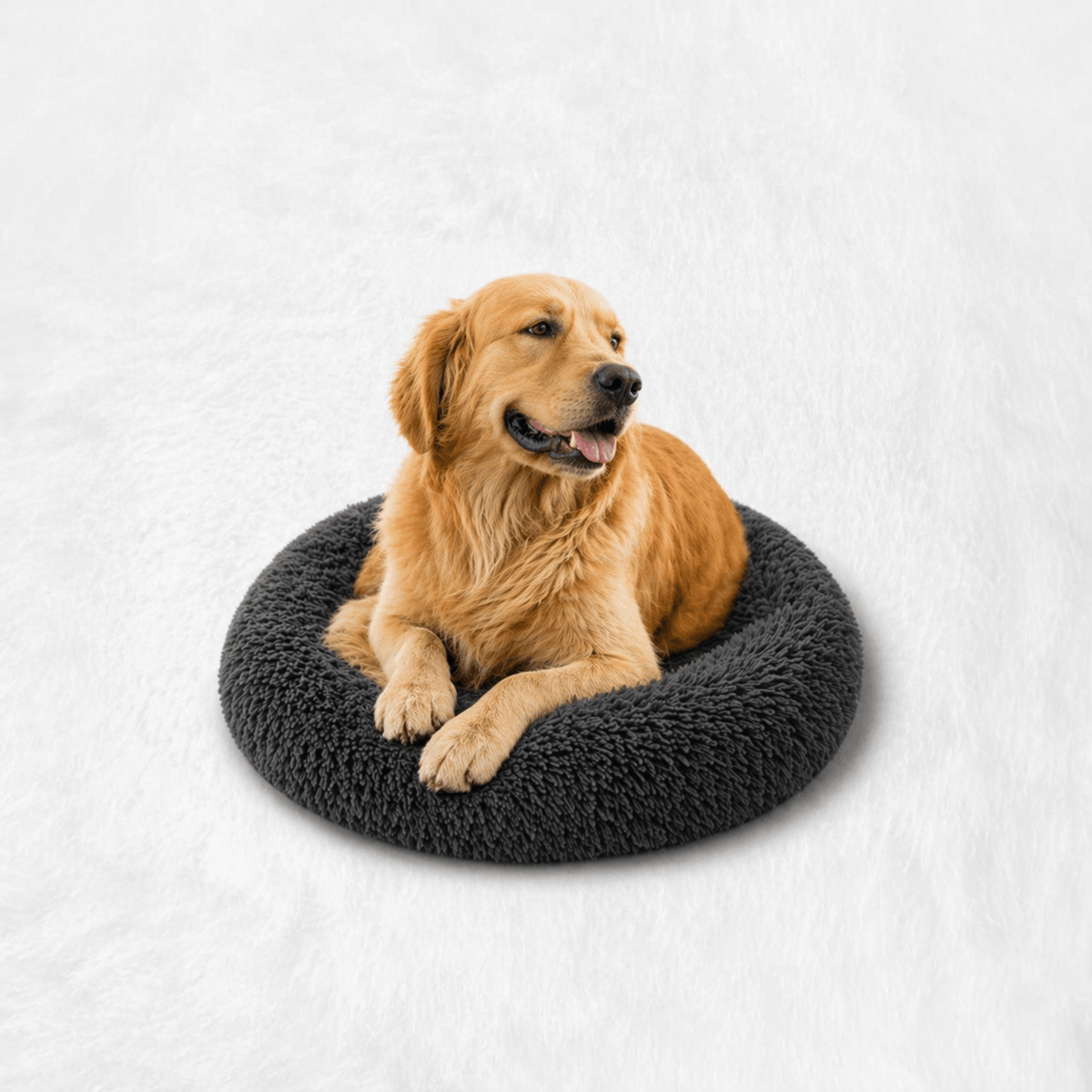 Un chien assis sur le Coussin Anti-stress pour Chien Gris foncé