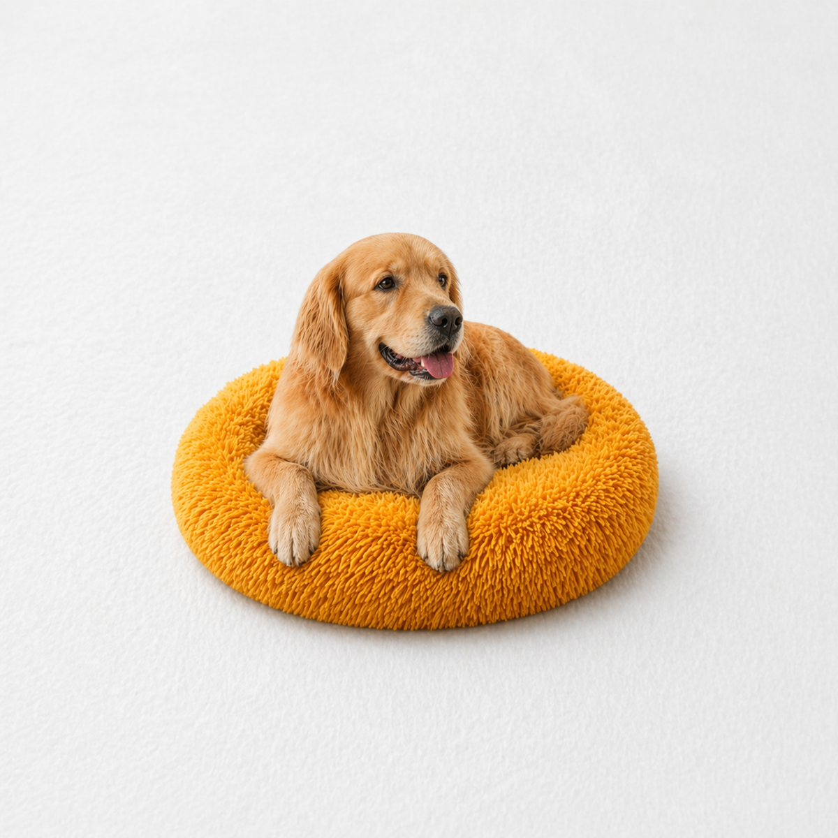 Un chien assis sur le Coussin Anti-stress pour Chien Jaune