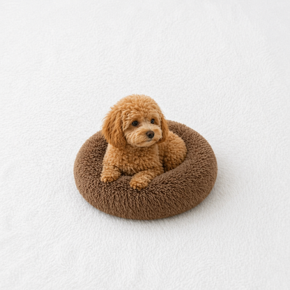 Un chien assis sur le Coussin Anti-stress pour Chien Marron