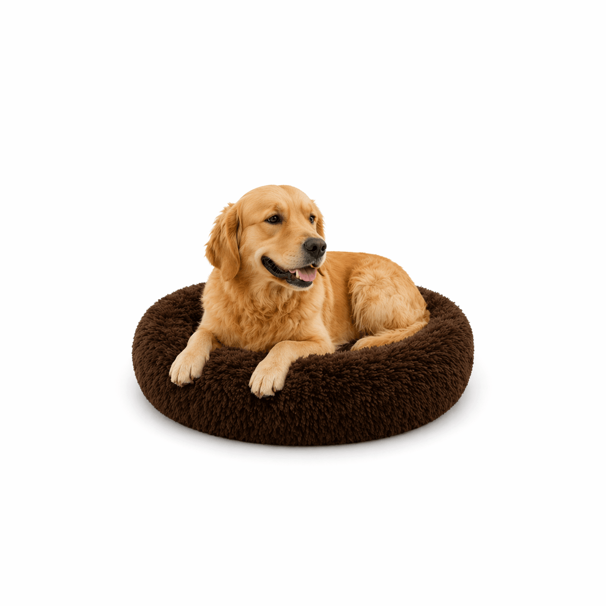 Un chien assis sur le Coussin Anti-stress pour Chien Marron Foncé