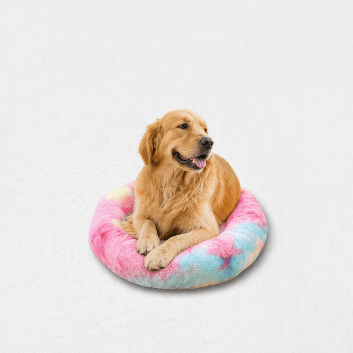 Un chien assis sur le Coussin Anti-stress pour Chien Multicolore