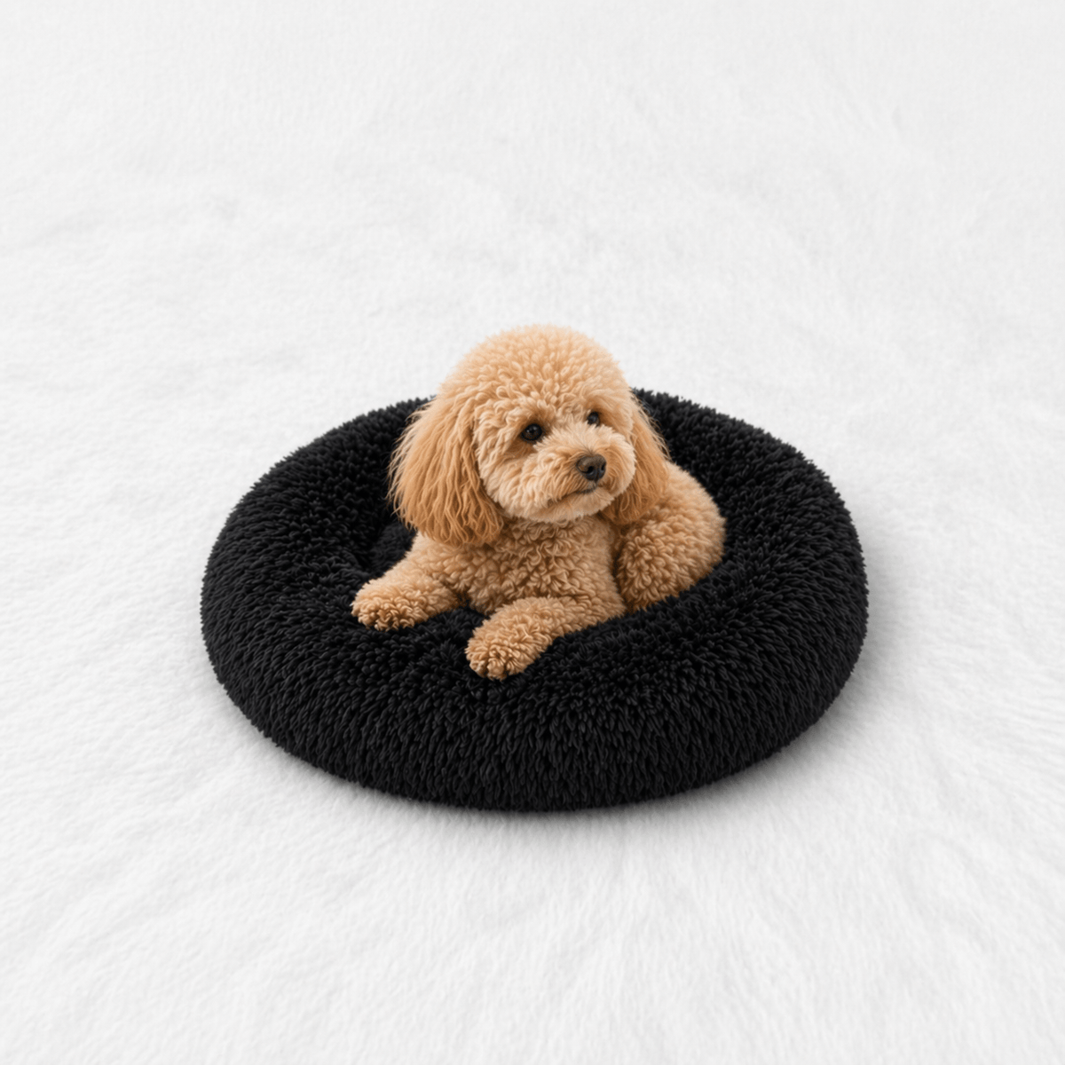 Un chien assis sur le Coussin Anti-stress pour Chien Noir