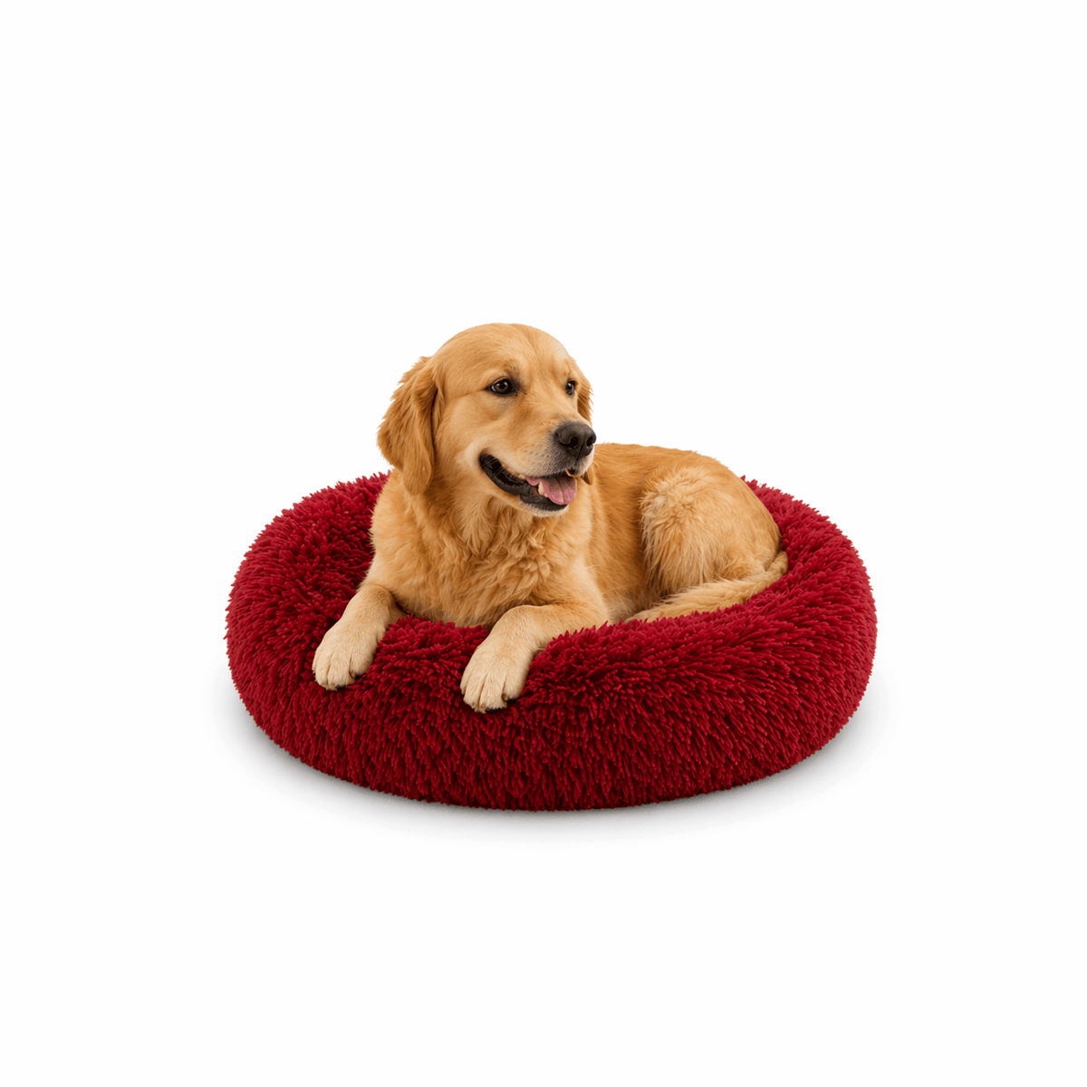 Un chien assis sur le Coussin Anti-stress pour Chien Rouge