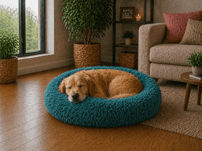 Un chien assis sur le Coussin Anti-stress pour Chien Turquoise