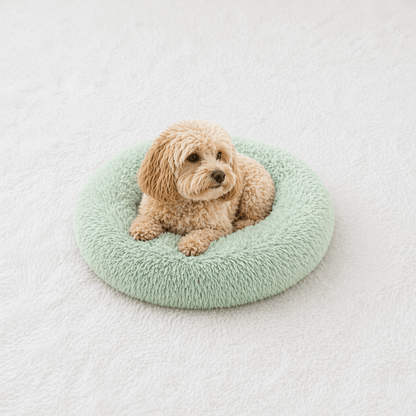 Un chien assis sur le Coussin Anti-stress pour Chien Vert Pastel 