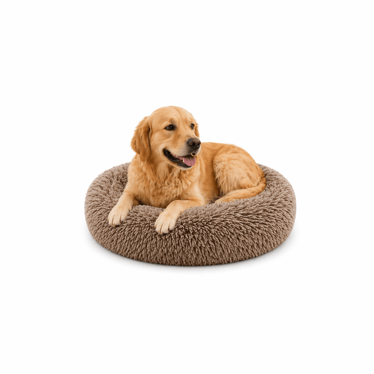 Un chien assis sur le Coussin Anti Stress pour Chien Café 