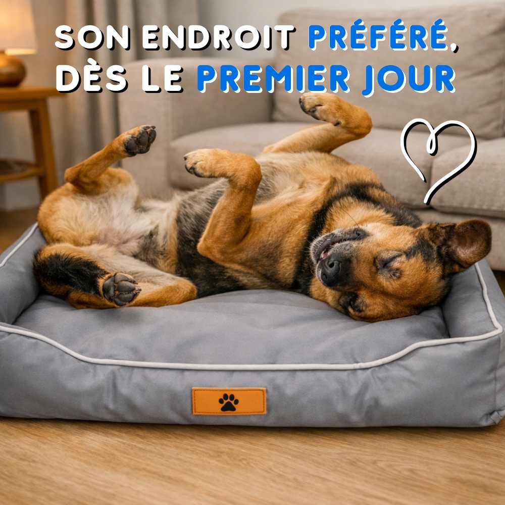 Un chien amoureux de son Coussin Indestructible pour Chien gris