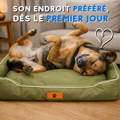 Chien amoureux de son Coussin Indestructible pour Chien vert