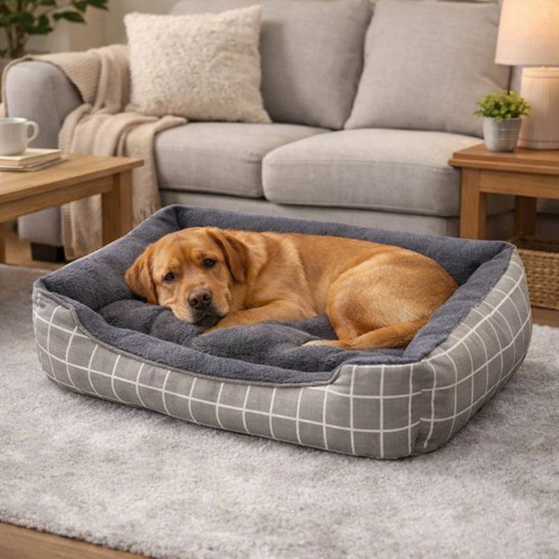 Chien Panier Confortable pour Chien gris