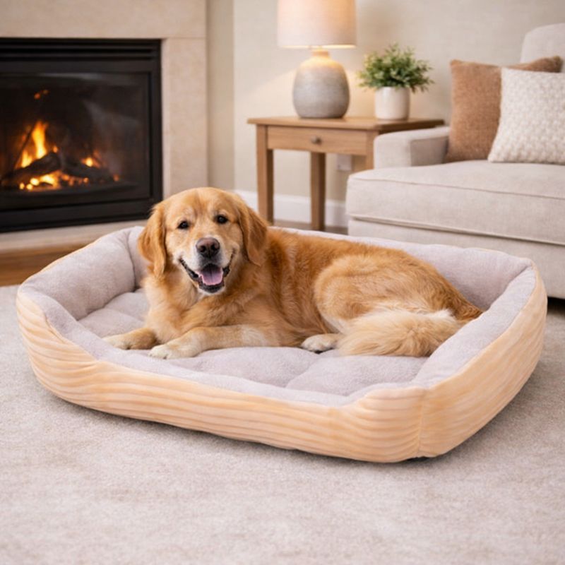 Chien Panier en Tissu pour Chien beige