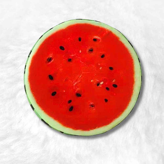 Coussin de Chaise Fruit pastèque