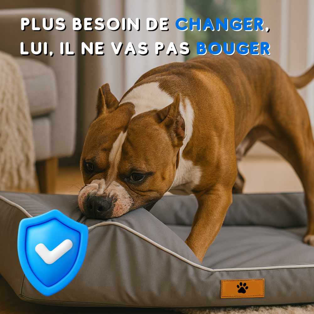 Coussin chien indestructible gris durable