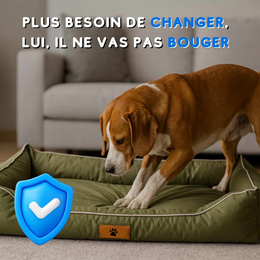 Coussin chien indestructible vert durable