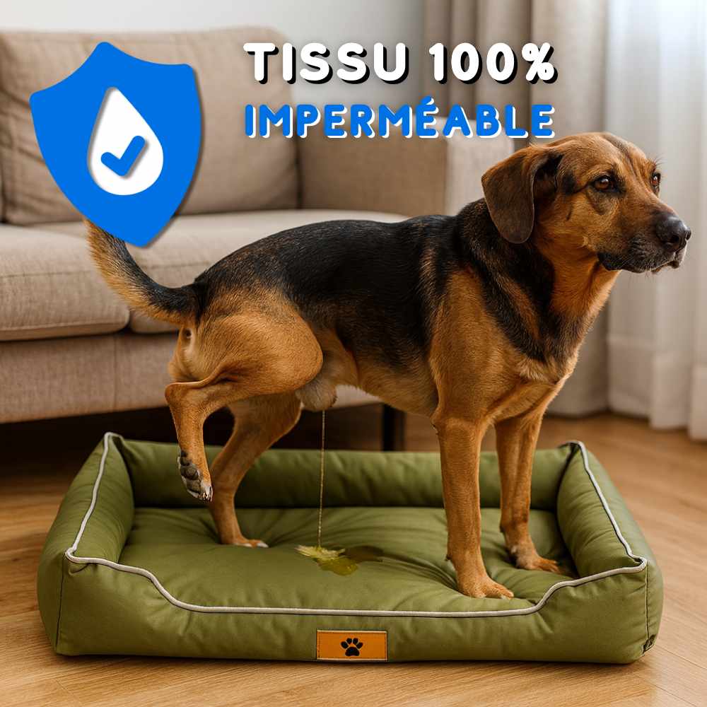 Coussin chien indestructible vert imperméable