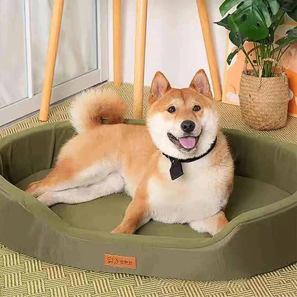Un chien dans le Panier Imperméable pour Chien vert​